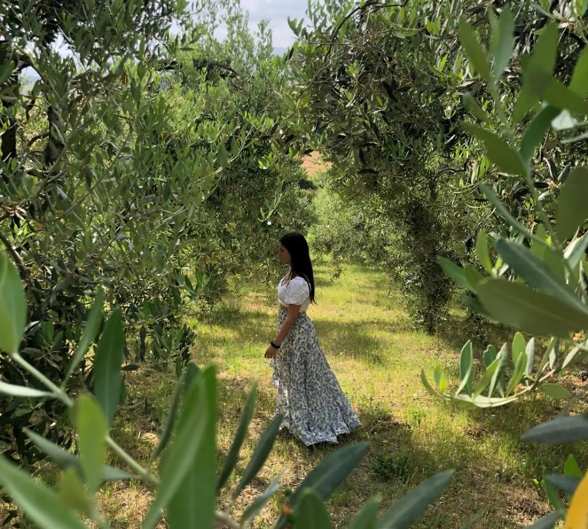 Glamping La Lodola Hotel Crocina 0*,  Italy
